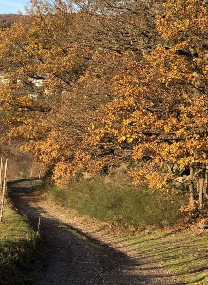 Uitzicht op de Wijngaard