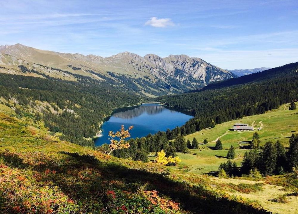 Contemporary Swiss Escape