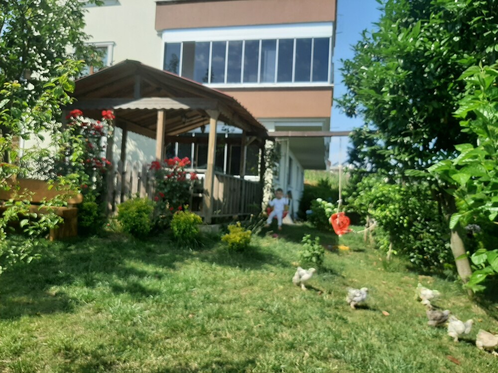 Photo 26