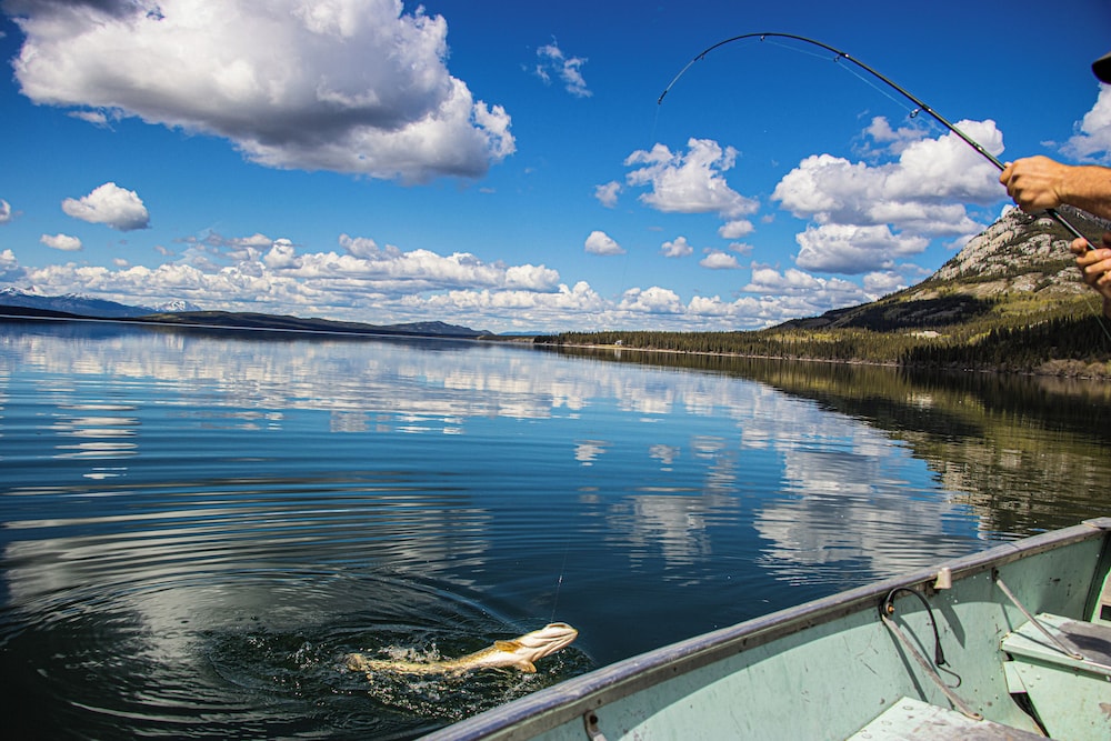 Little Atlin Lodge