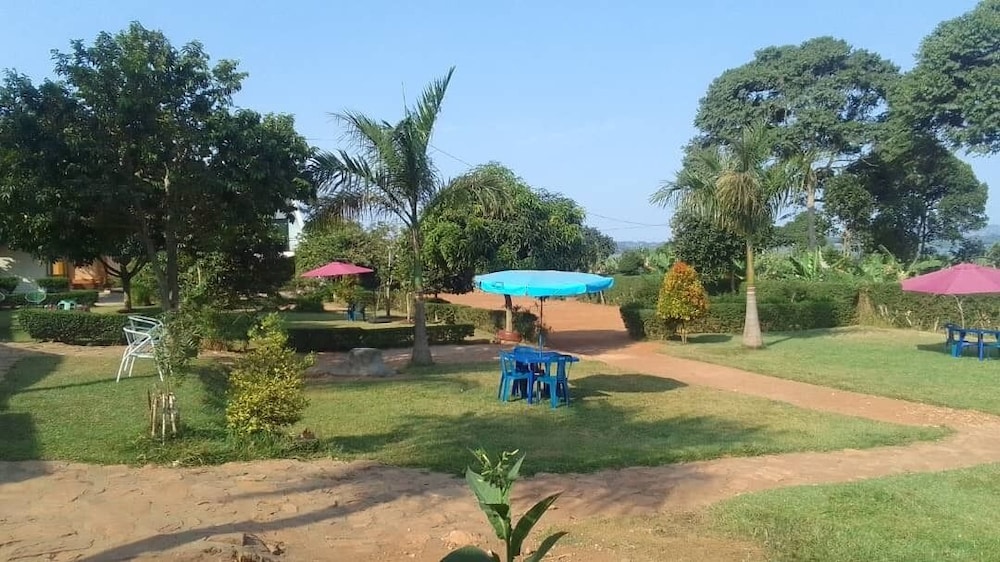 Photo 16