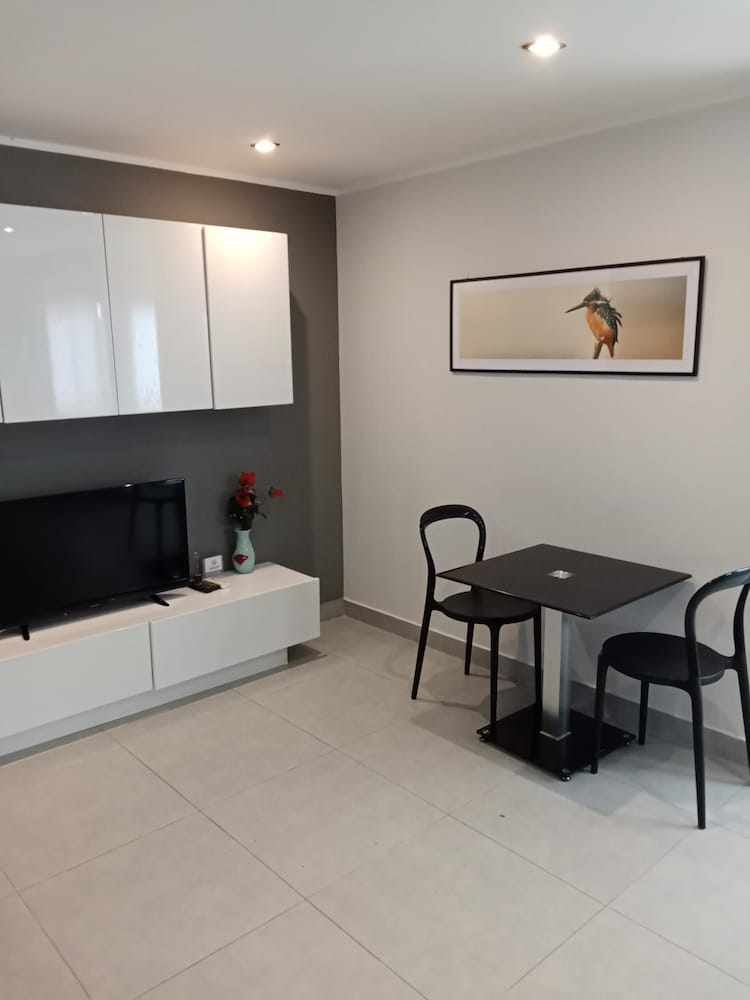 Large Corner Apt-1BR T1 207