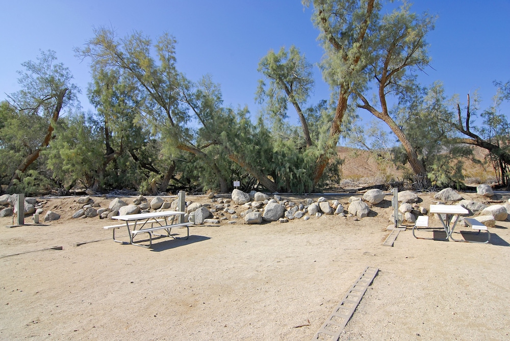 Palm Canyon Hotel & RV Resort