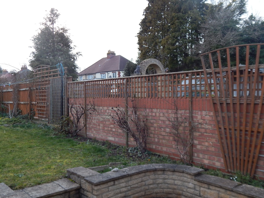 Photo 48