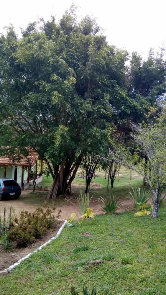 Photo 32