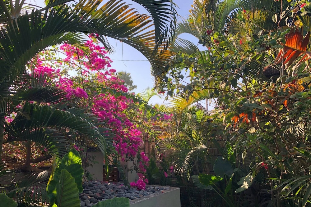 Lush 1 BR Private Pool Villa Inseminyak