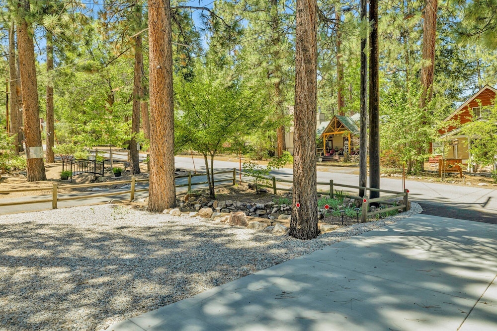Lily's Bear Cabin #2544