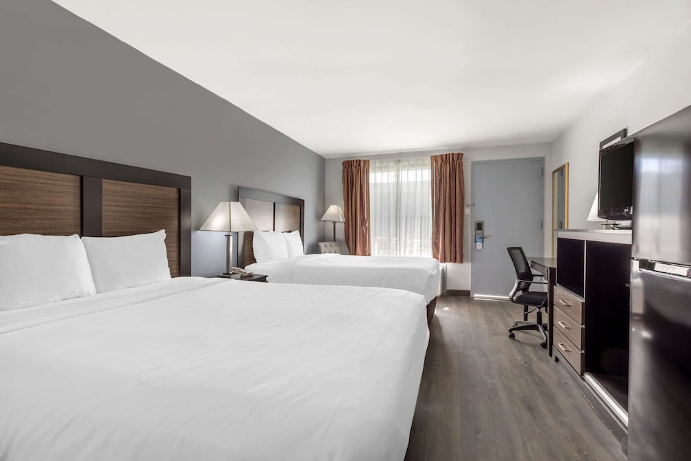 Gainesville Vacations - Suburban Studios Gainesville - Property Image 4