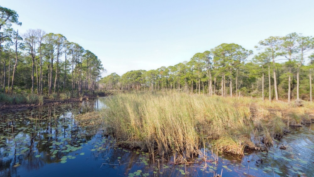 Coastal 3BR Condo With Pool & Shuttle : Snowbird Friendly!