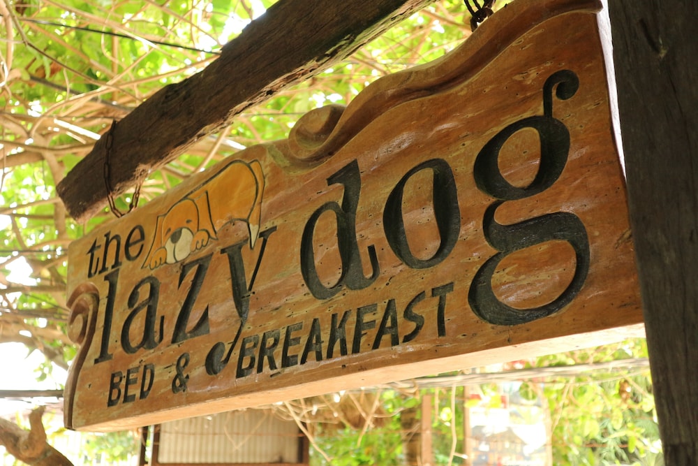 The Lazy Dog Bed & Breakfast