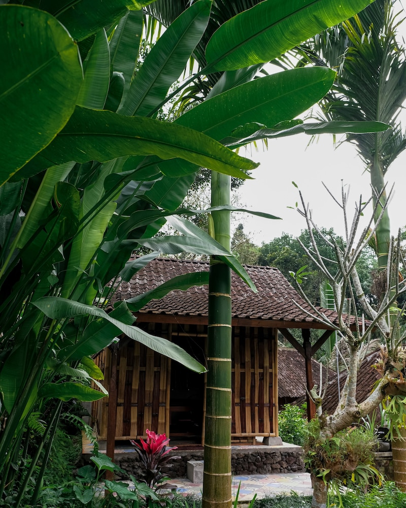 Song Broek Jungle Resort