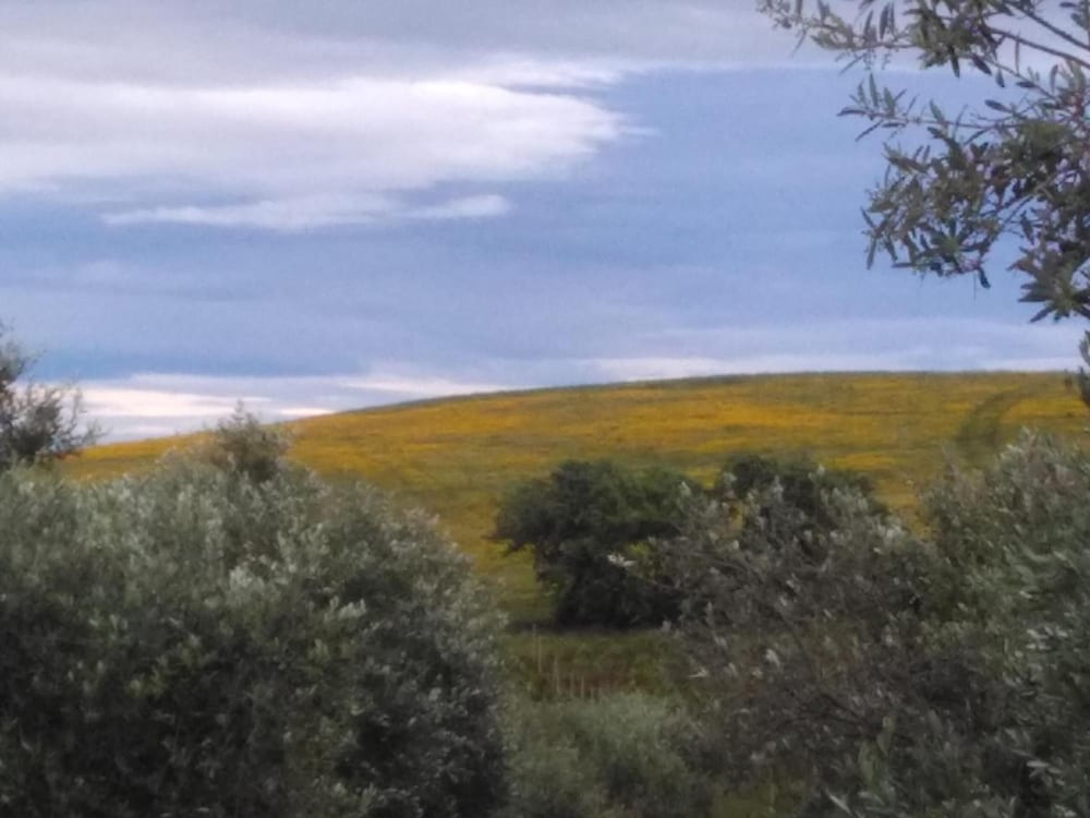 Il Cantiniere