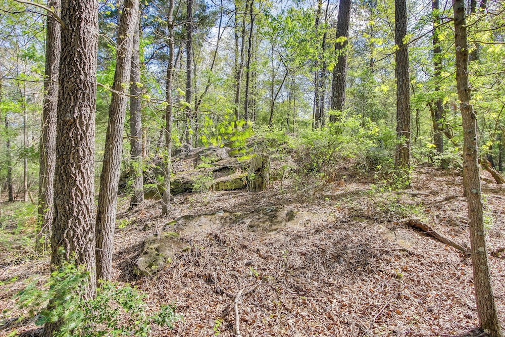136 Private Acres: Lakefront Aiken County Home!