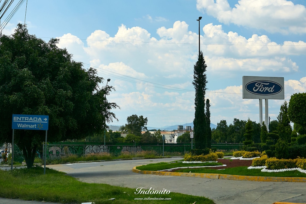 Photo 45