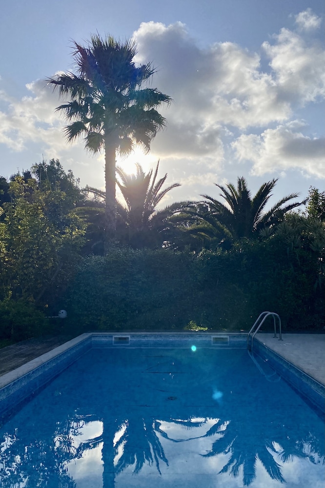Quinta dos Bravos — photo 2
