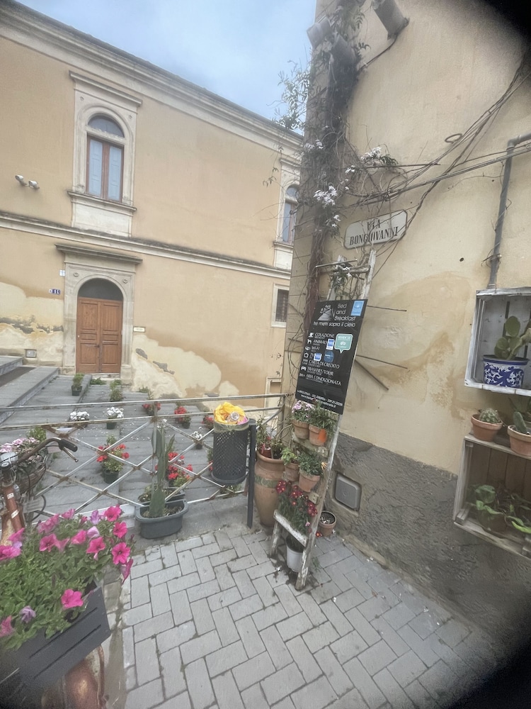 Photo 42