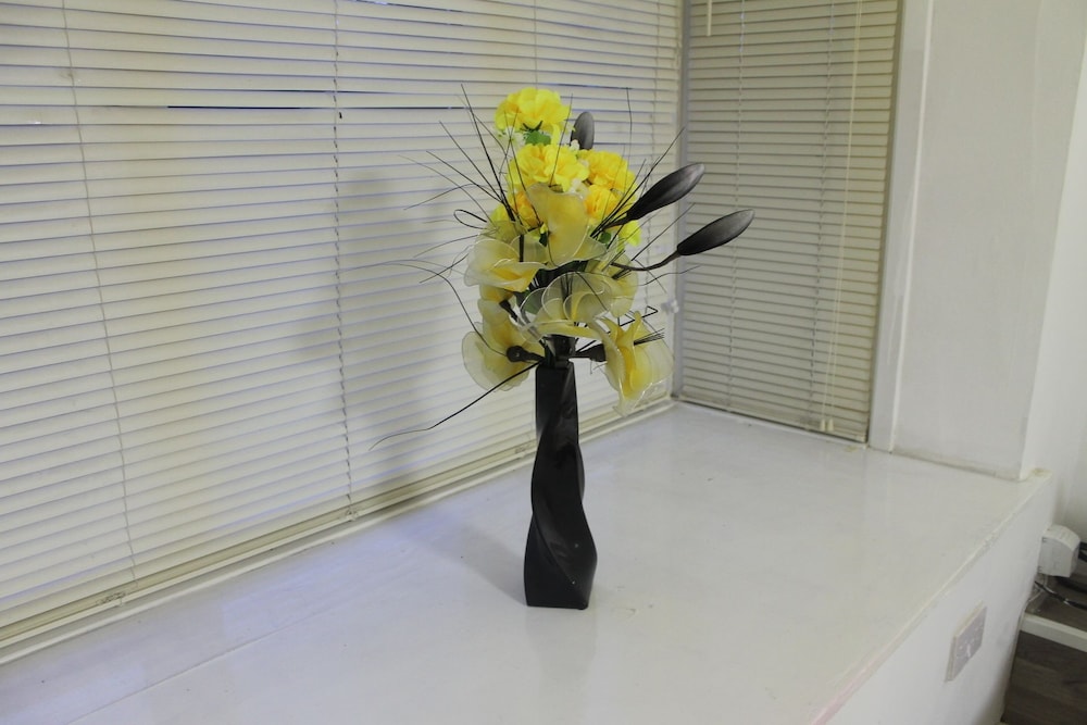 Sidney Place photo 5