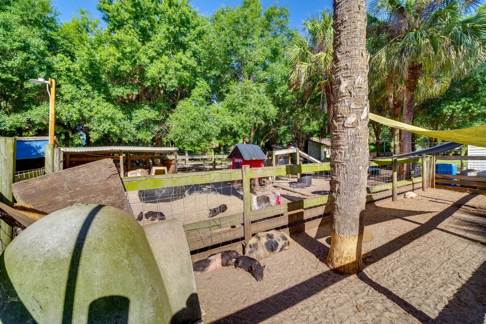 Vero Beach Vacations - Cozy Fort Pierce Cottage on Farm Animal Rescue! - Property Image 1