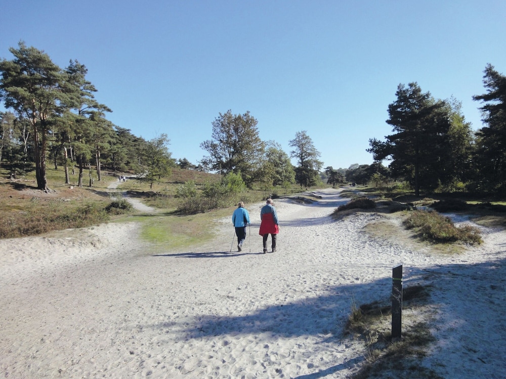 Comfortable Chalet Near Brunssummerheide