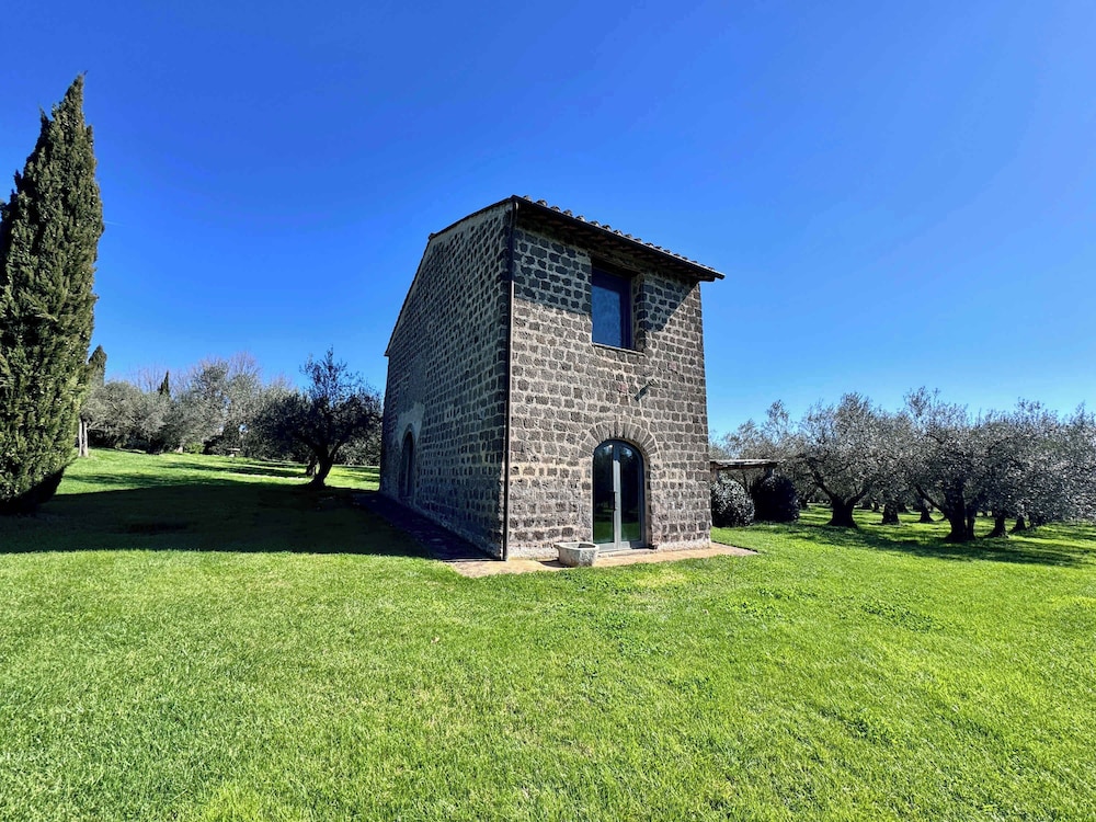 New Estate of Joy a Magnificent Historic Villa Near Rome on Glorious Ground Pool and Olives Galore