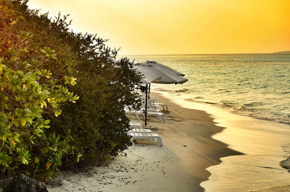 Dhiffushi White Sand Beach Hotel 26
