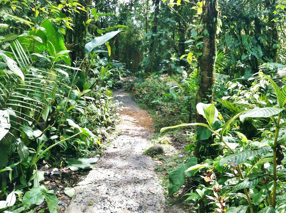 Mindo Garden Lodge