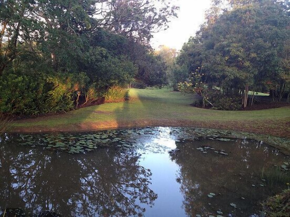 Clairewood