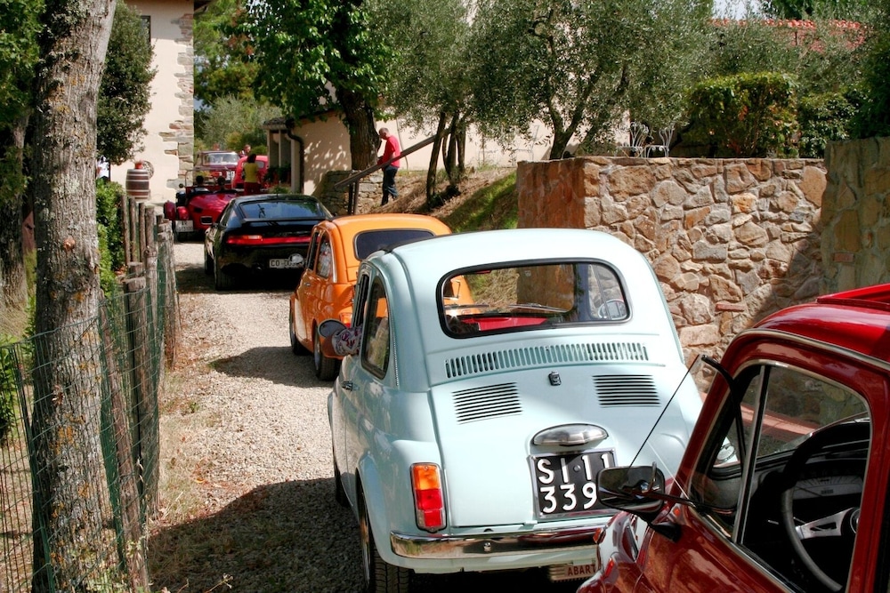 Il Pino Bioagricoltura
