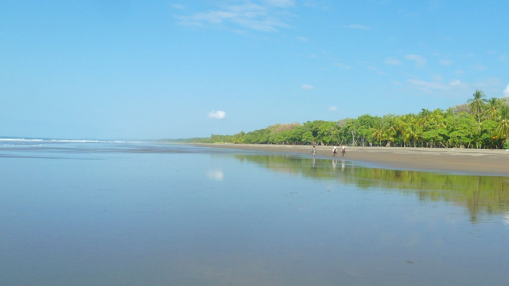 Jardin de los Monos