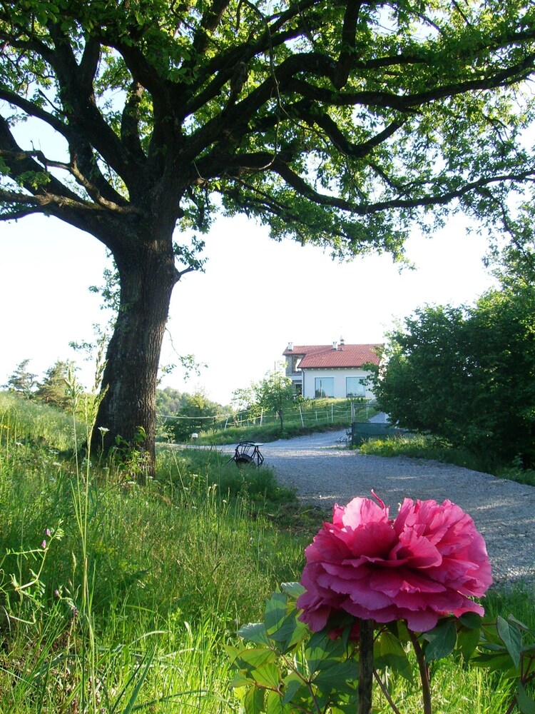 La Ratatouille Agriturismo view 4