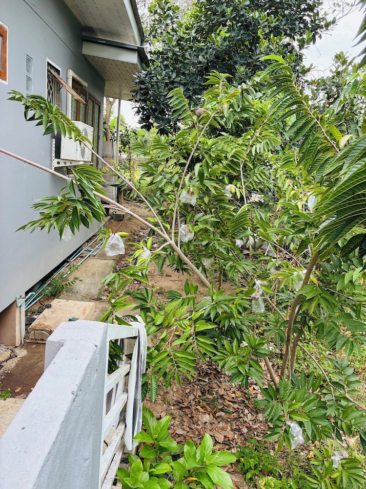 The Green Horizon Villa Chaweng Hill