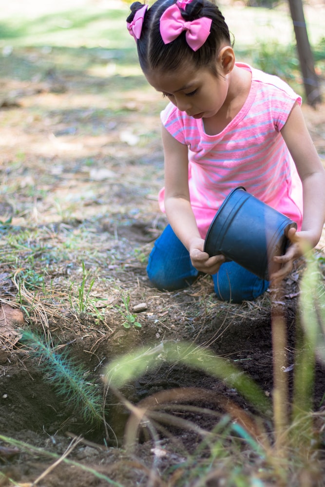 Sierra Lago Resort  Spa - All inclusive - Property Image 145