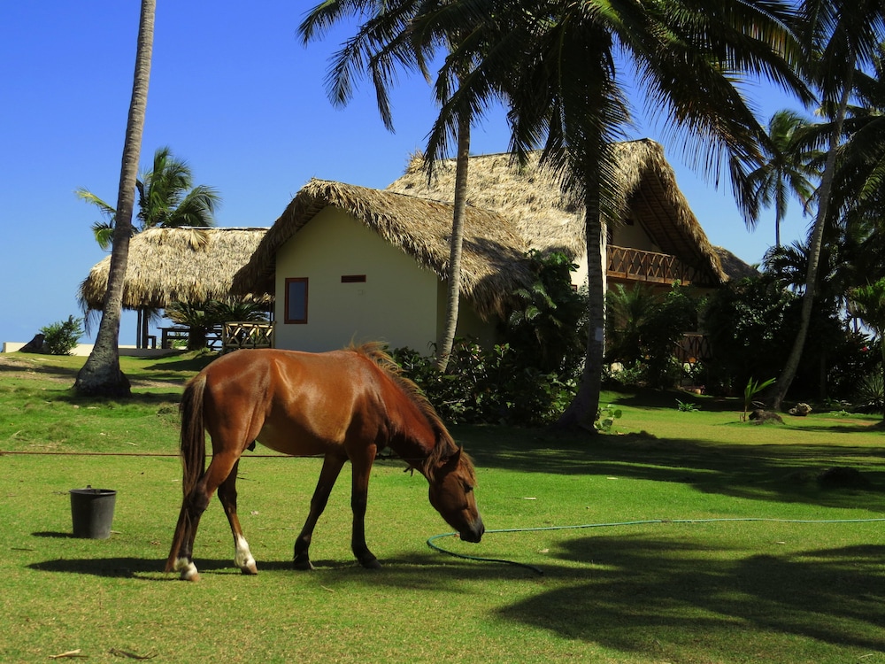 Villa Punta Coral