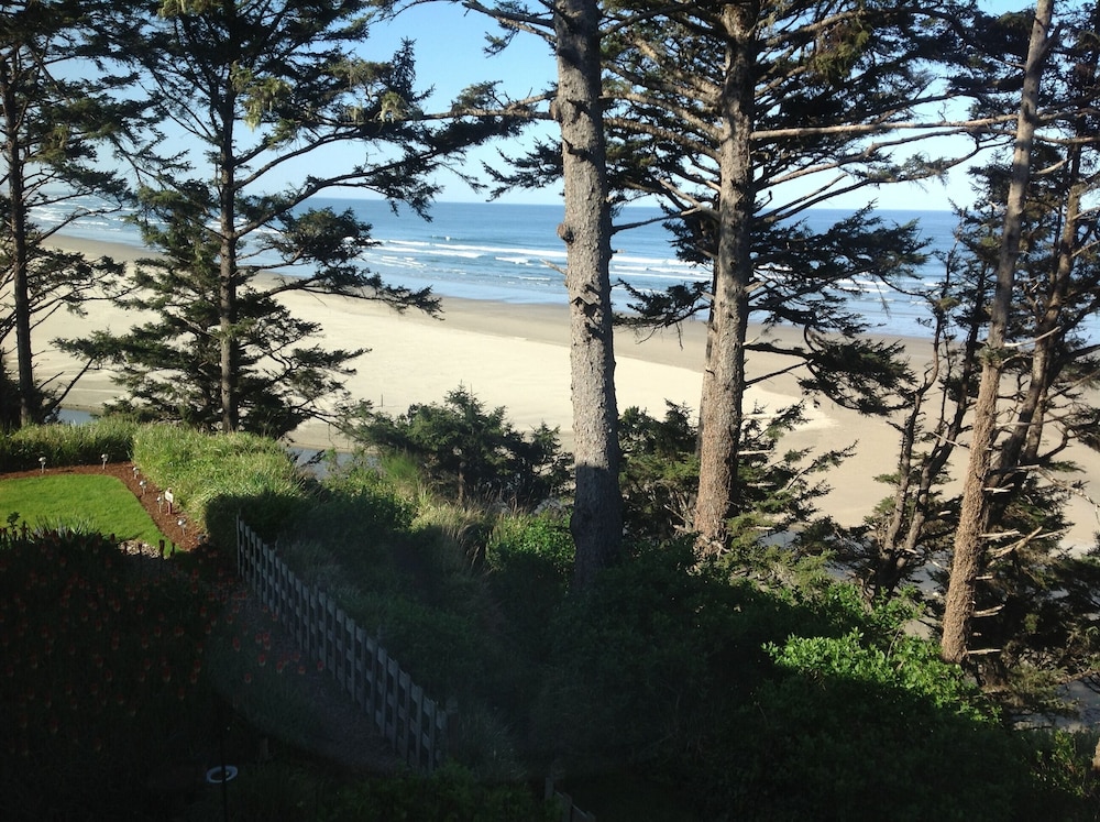 Tyee Lodge Oceanfront B&B view 2