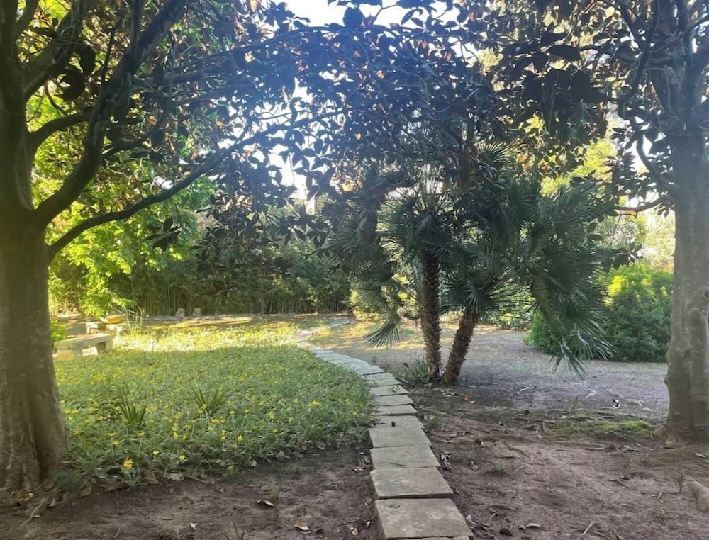 La Pineta