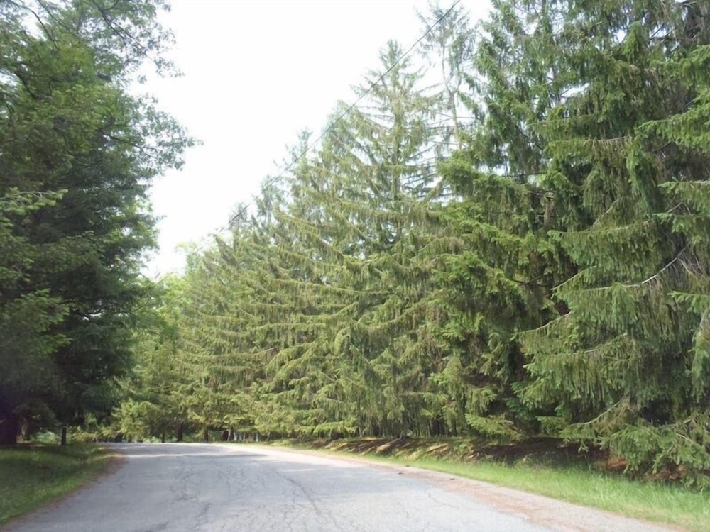 Eagle Village Resort - Property Image 11