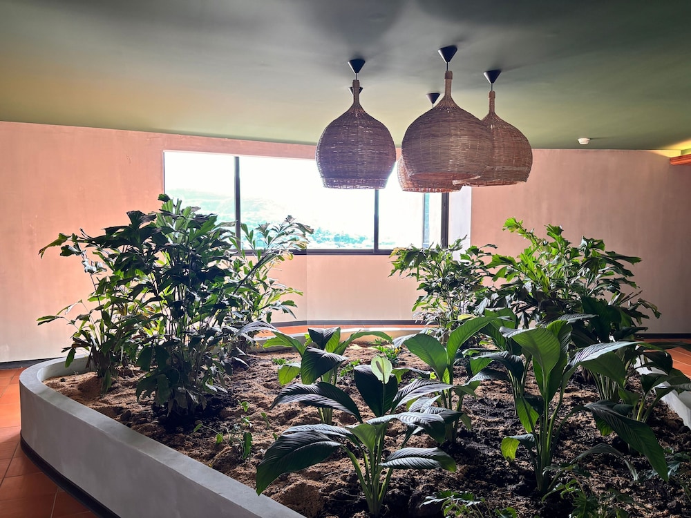 BEE Suites San José - Santa Ana