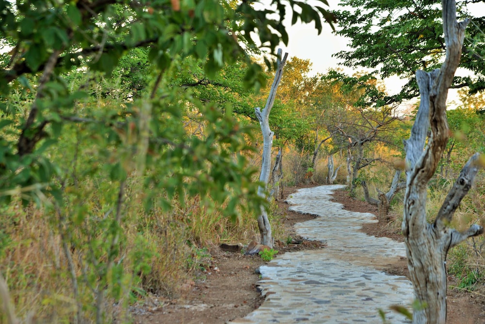 Wildtrack Safaris Eco Lodge