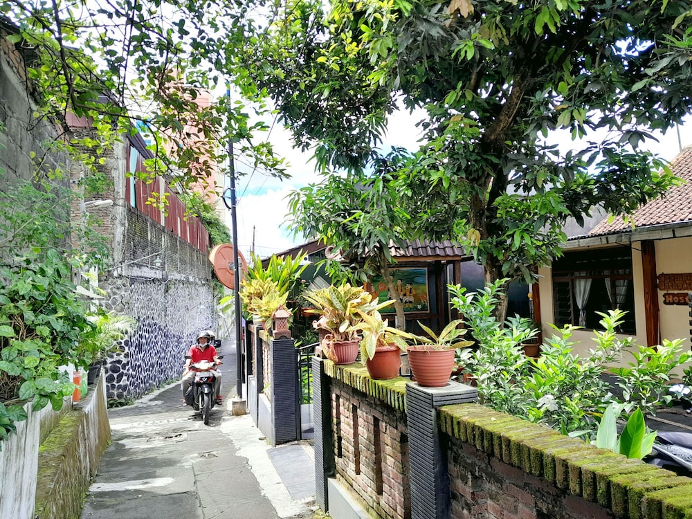 Photo 21