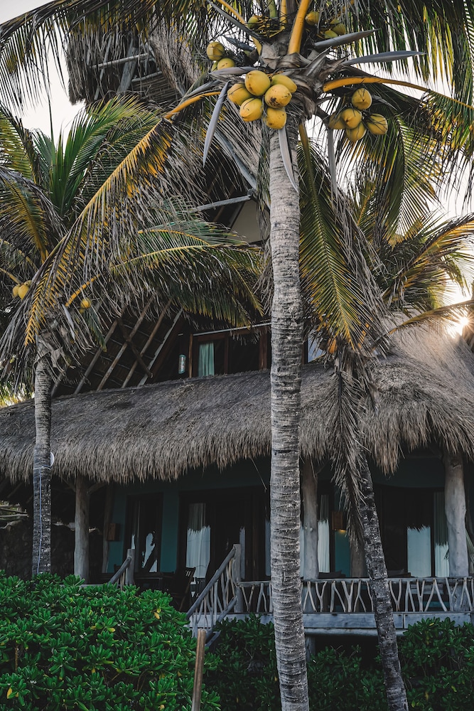 Ahau Beachfront Tulum Hotel 161