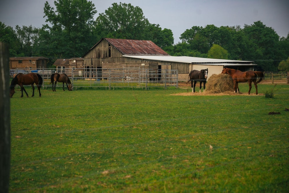Cowboy Bunkhouse hot tub Lake Farm Nature