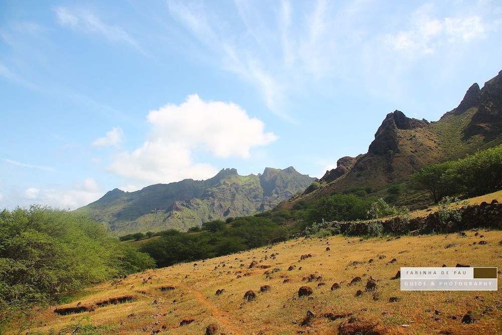 Farinha de Pau - Eco Rural Project
