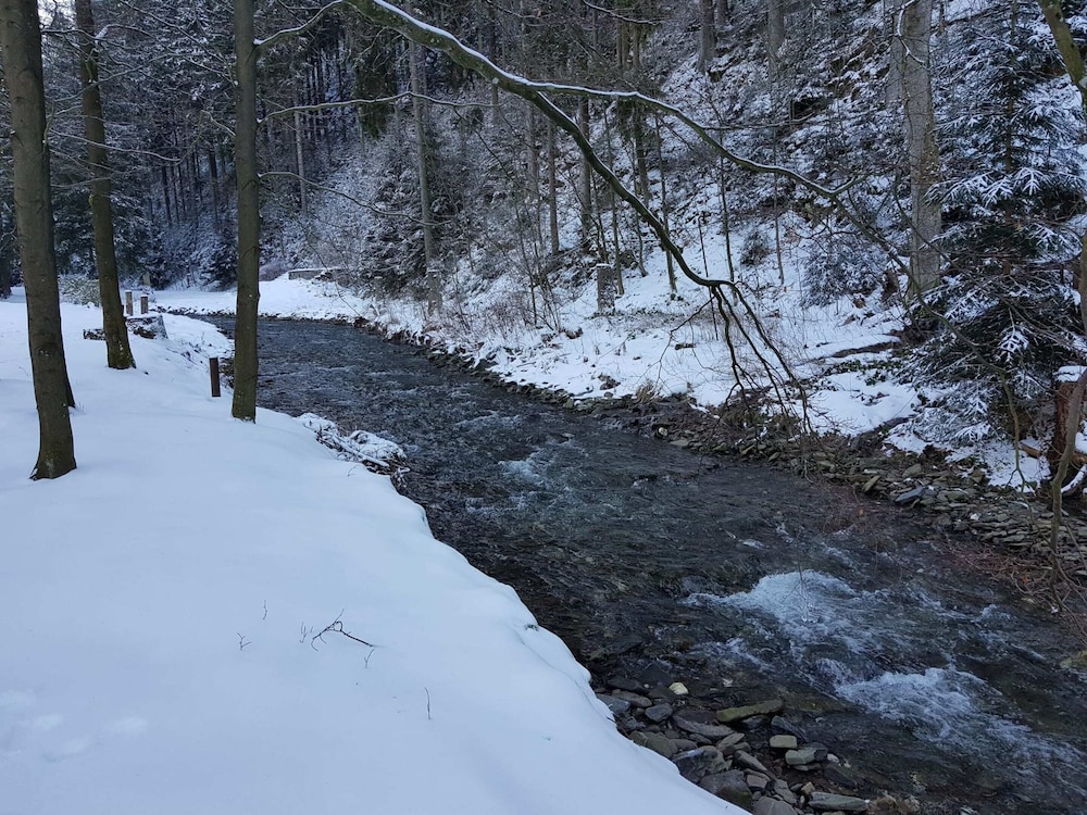 Alpine Escape in Wildemann