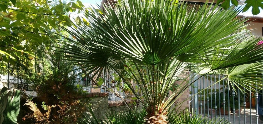 La Capannina Cilento