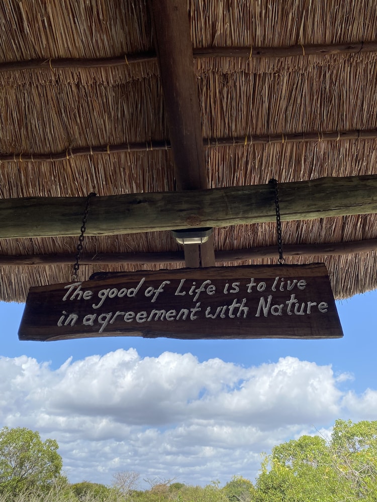 Saadani Safari Lodge - bush, river, beach view 2