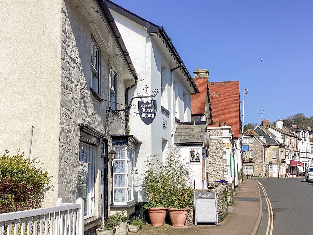 The Old Lace Shop