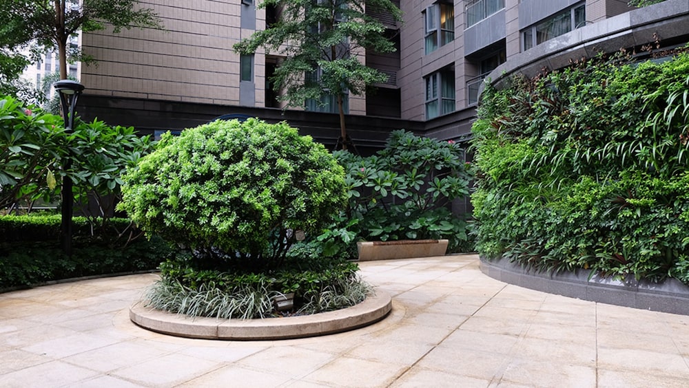 Yuexi Business Apartment, photo 10