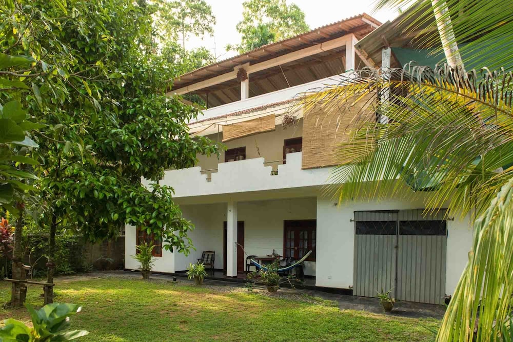 Jungleside House