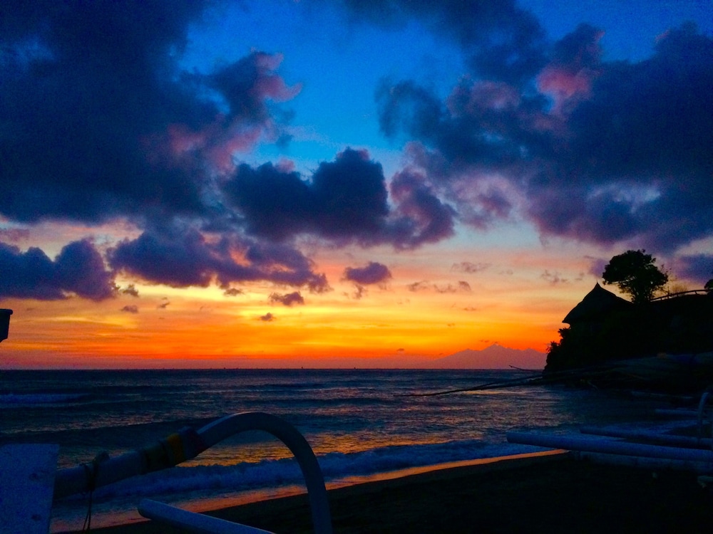 Amed Romance