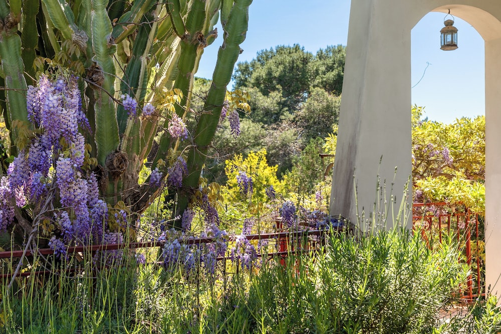 Galatea e Giardino delle Esperidi apartments with pool by Wonderful Italy